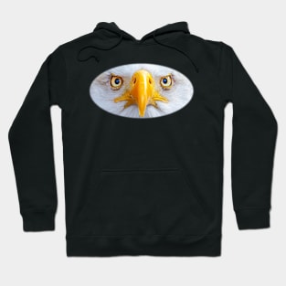 Bald Eagle stare Hoodie